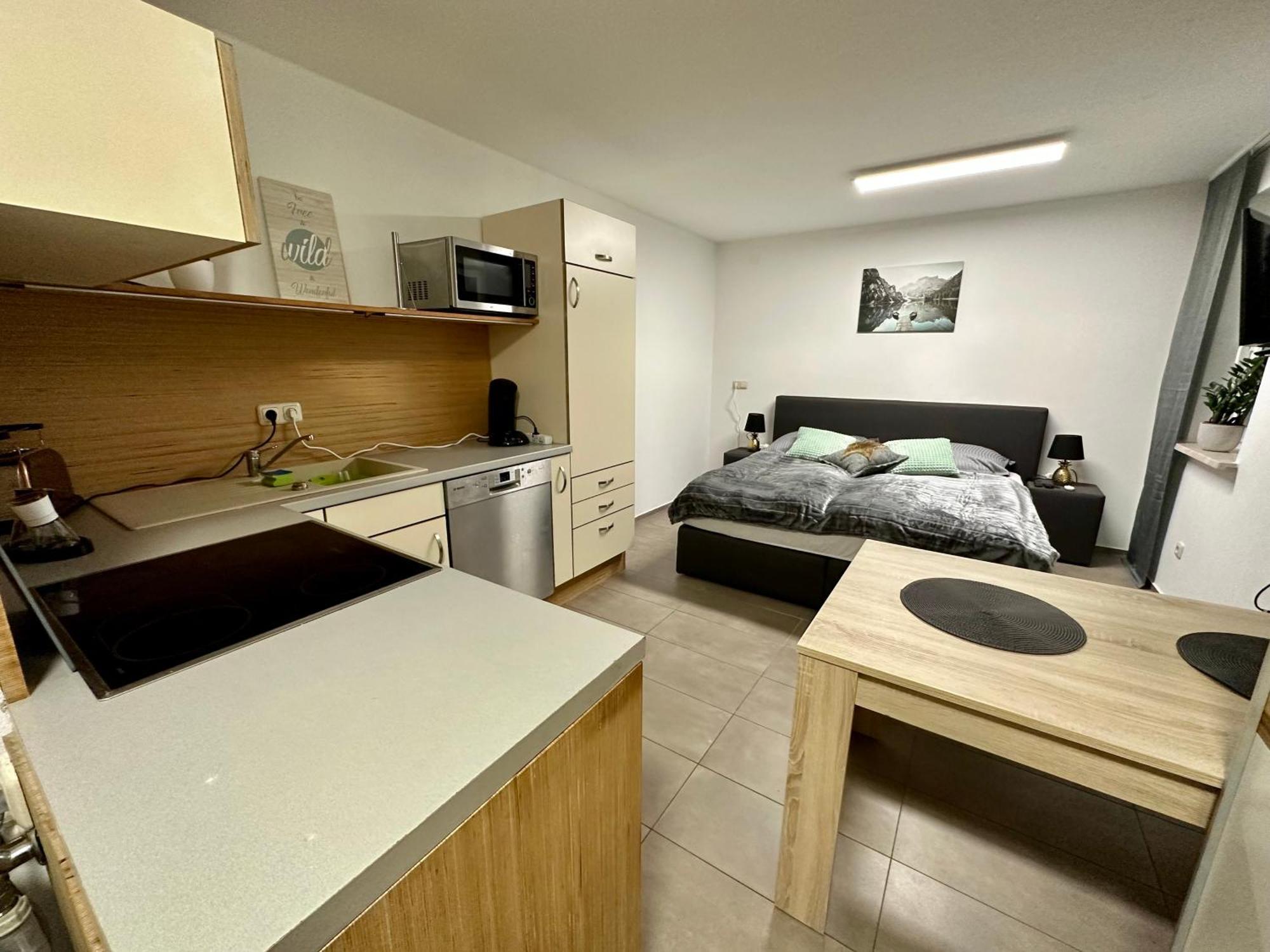 Tiny Ferienhaus Greizer Str 26 莱辛巴赫伊姆沃戈蒂 外观 照片